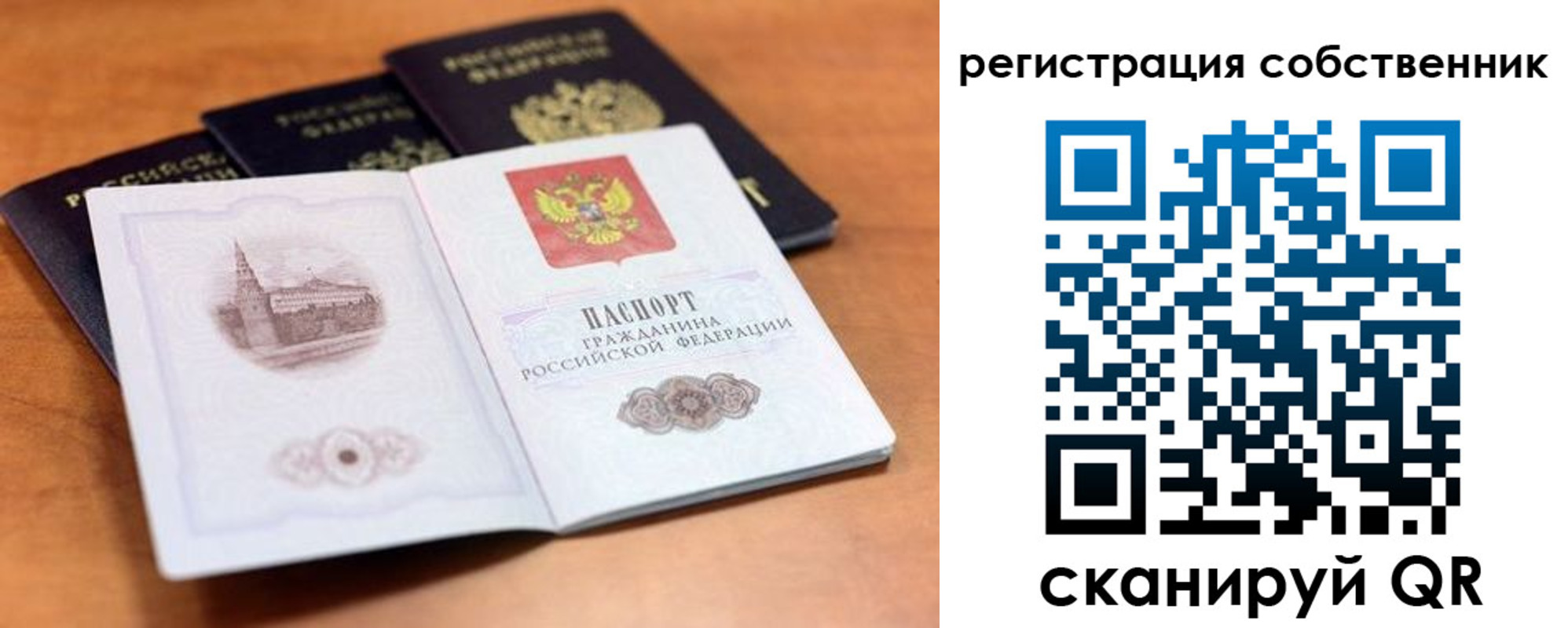 прописка поиск в Пущино